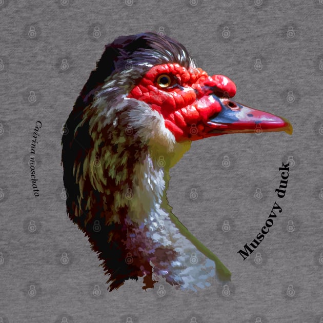 Muscovy duck head pin black text by Ornamentum